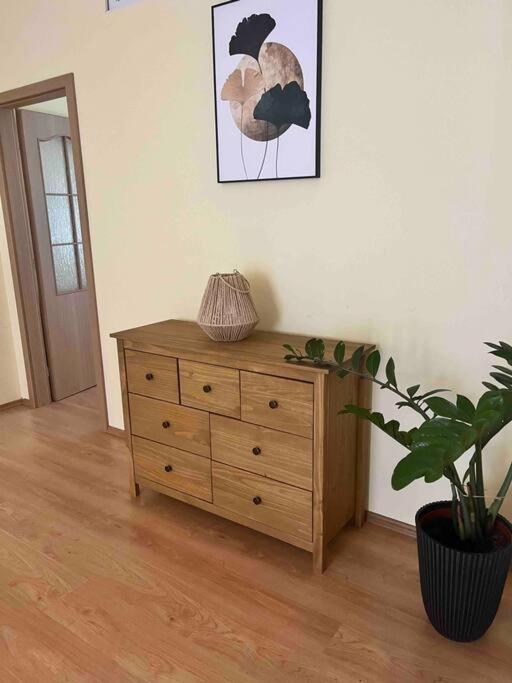 ברטיסלאבה Home In The Heart Of The City מראה חיצוני תמונה